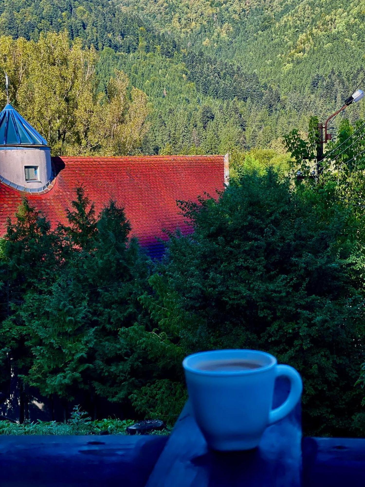 Casa De Oaspeti Kinga'S Crown Бъйле Тушнад Екстериор снимка